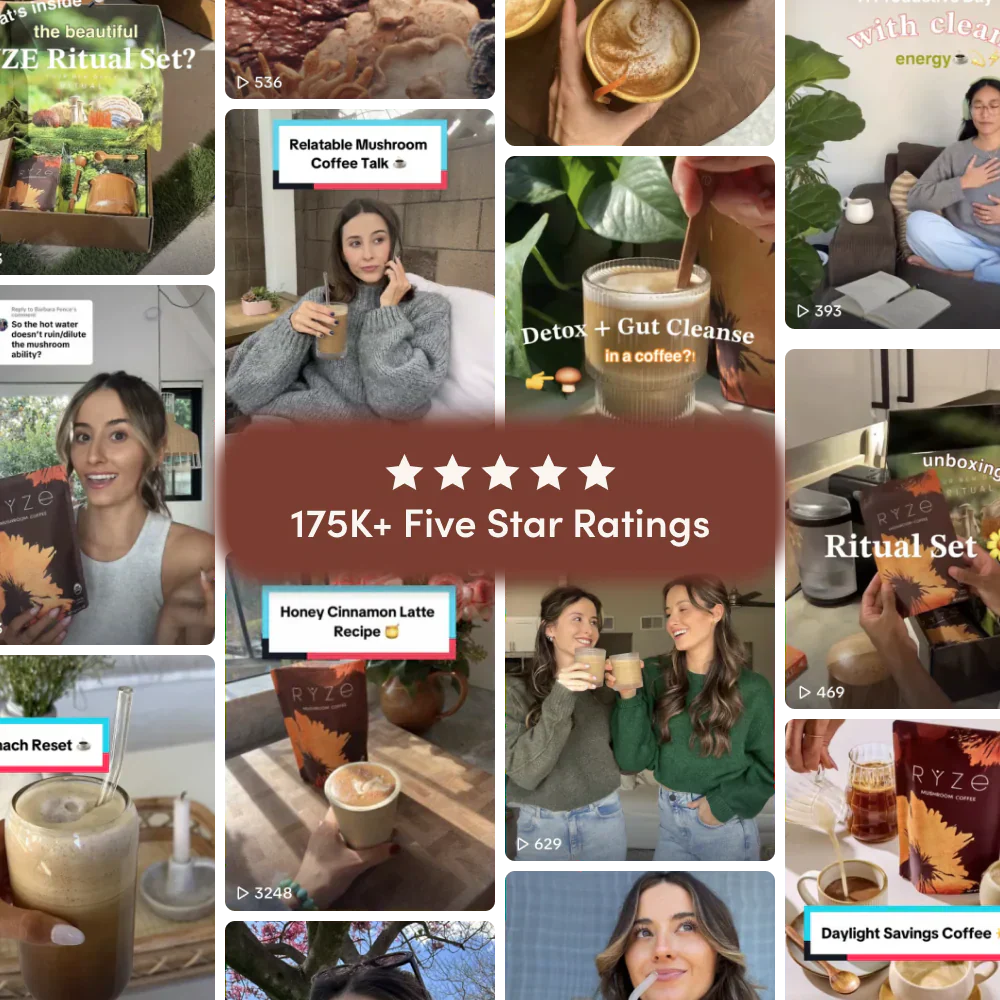 Dark Roast Starter Kit jtct7j
