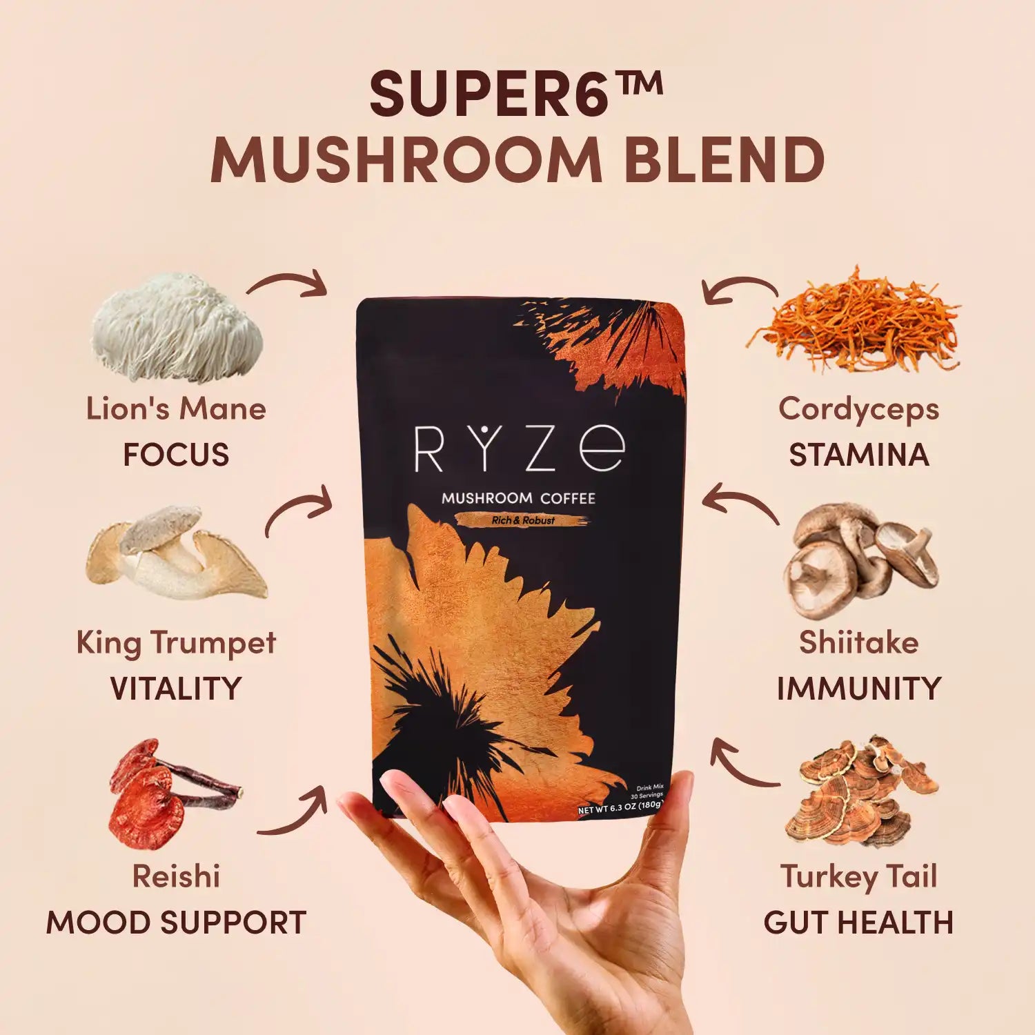 Dark Roast Starter Kit jtct7j
