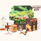 Mushroom Coffee z9rd6d