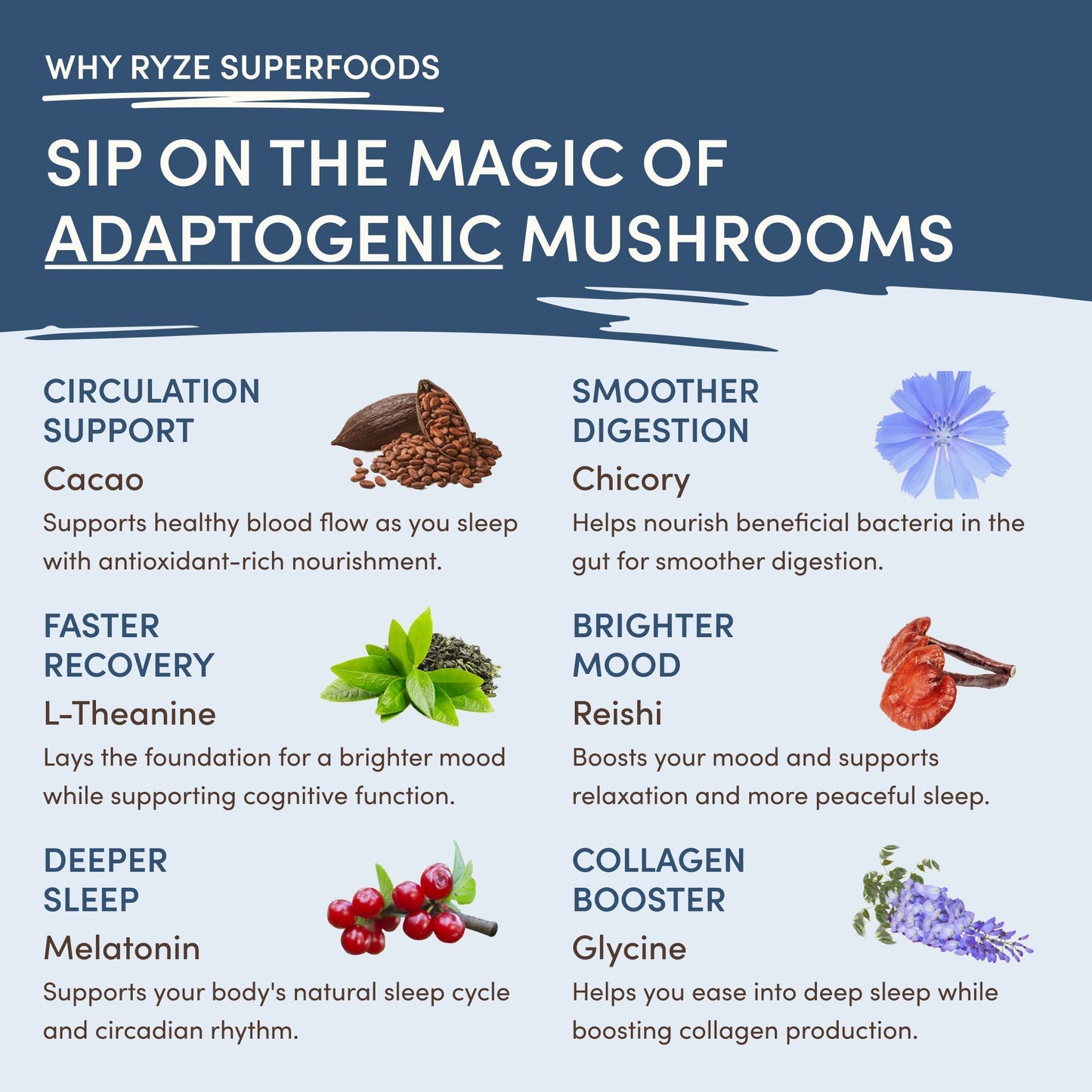 Mushroom Hot Cocoa q6tn78