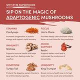 Mushroom Chai ahjy9y