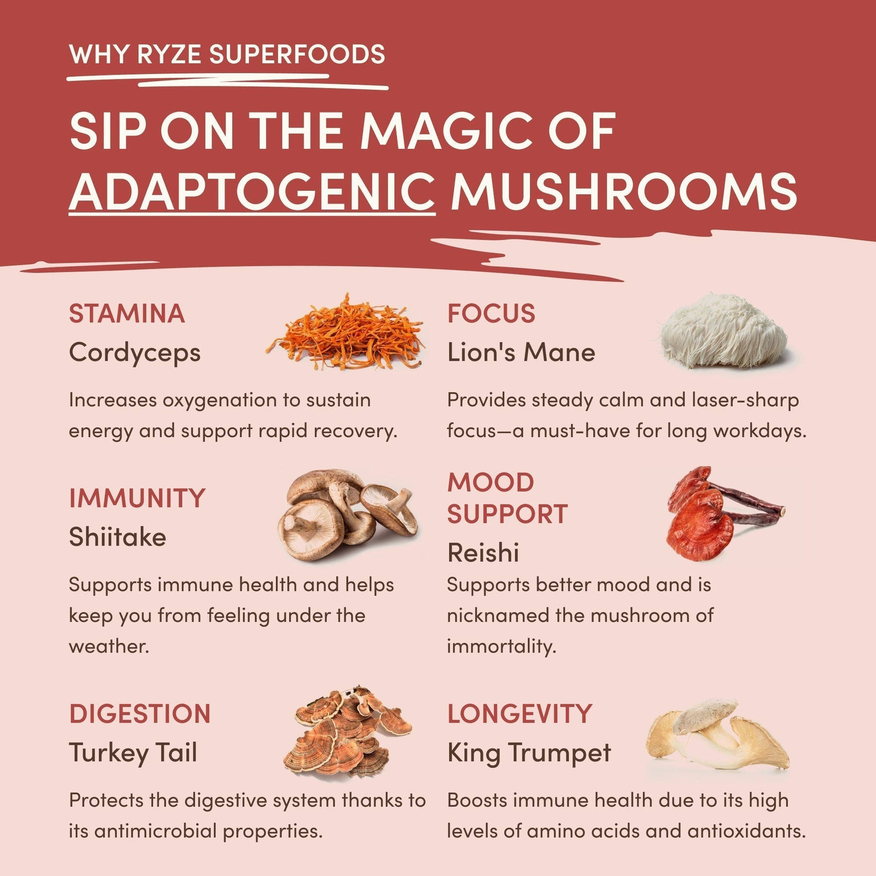 Mushroom Chai ahjy9y